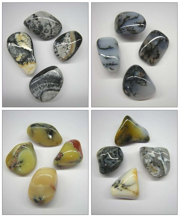 Dendrite Agate Tumbled
