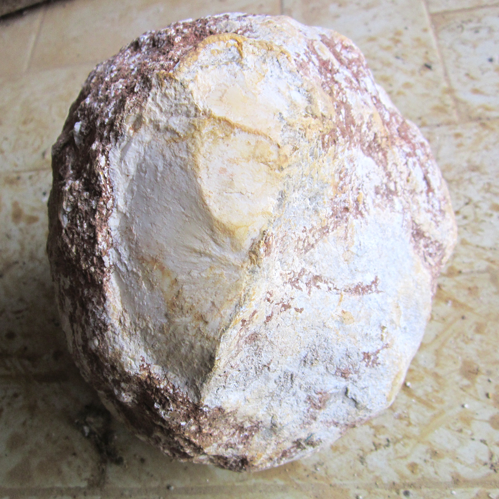 White Chalcedony Nodule